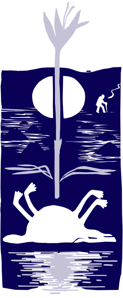 Herbstzeitlose-hoch-Ansicht.png