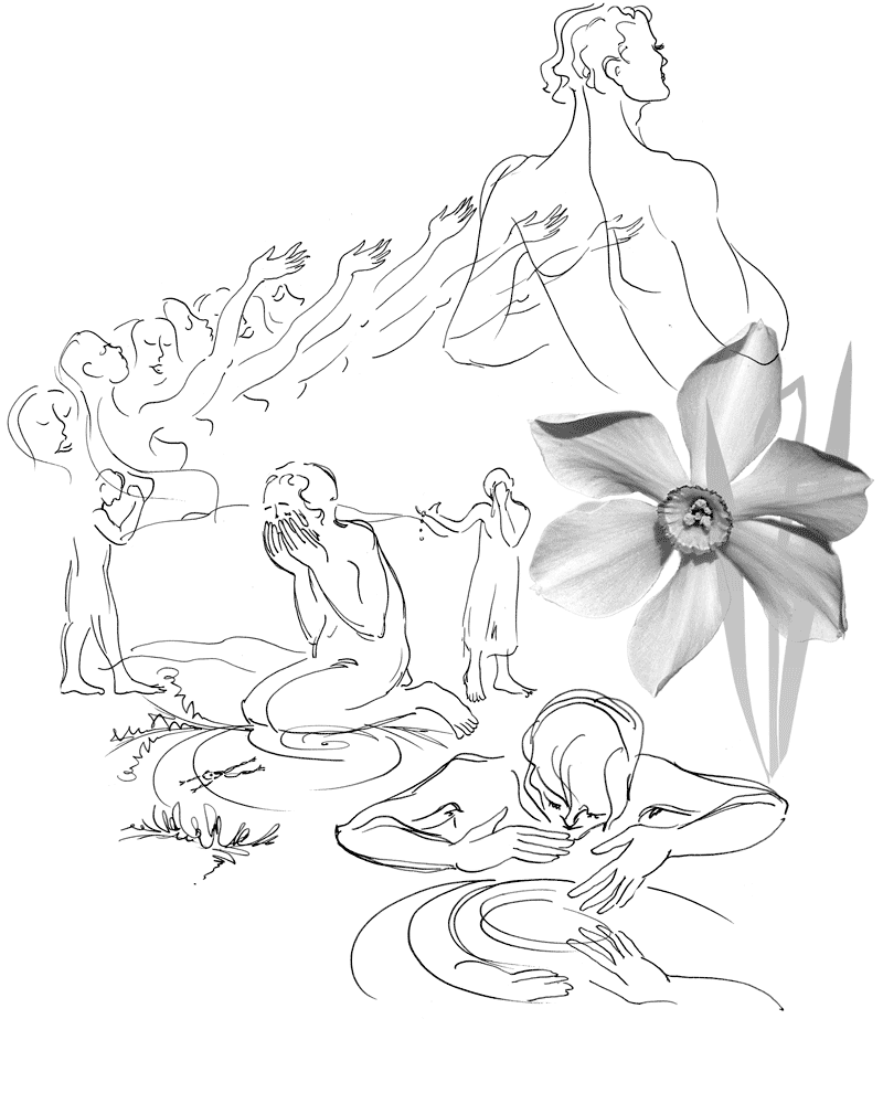 img2/Pflanzen-Mythen.gif